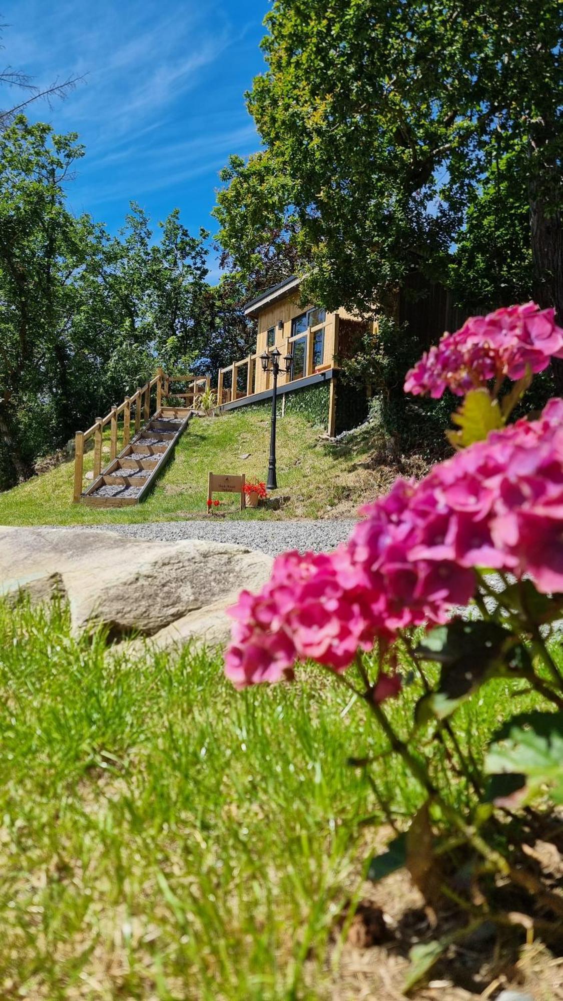 The Duck House Apartment Бармут Екстериор снимка
